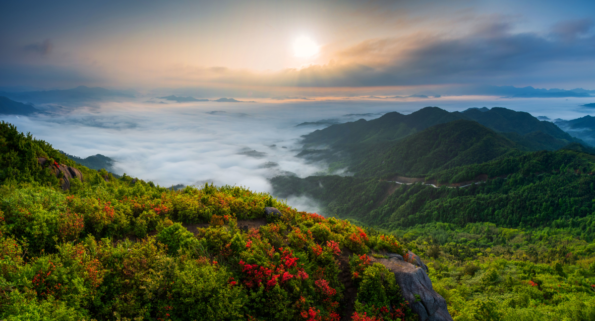 美翻了我的村第79期 | 江西省石城縣小松鎮(zhèn)：美麗蓮鄉(xiāng)新風漾