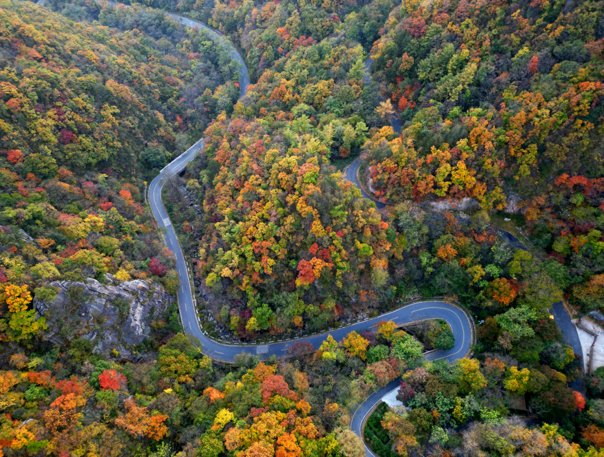 美翻了我的村第82期 | 河南省西峽縣太平鎮(zhèn)：大山深處有芬芳 文明鄉(xiāng)風沁人心